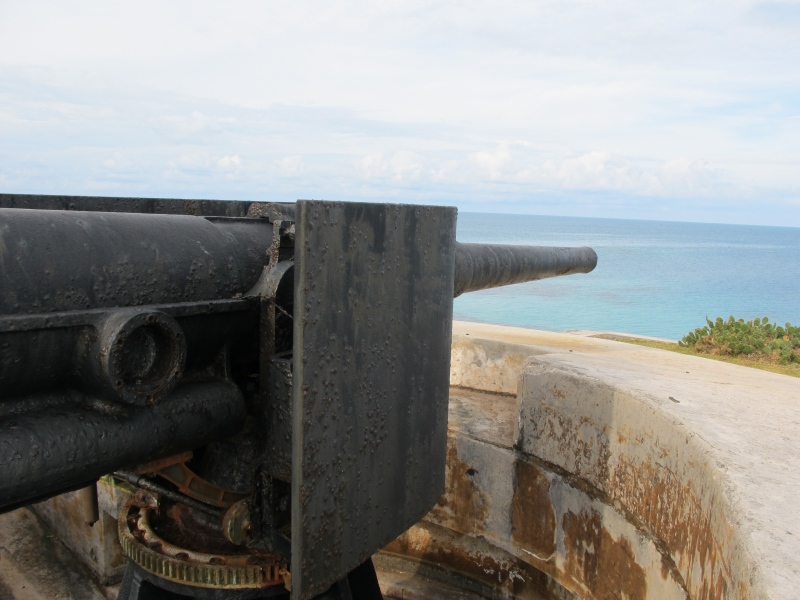 Day3 - 50 Cannons from different eras 17-Jan-2010